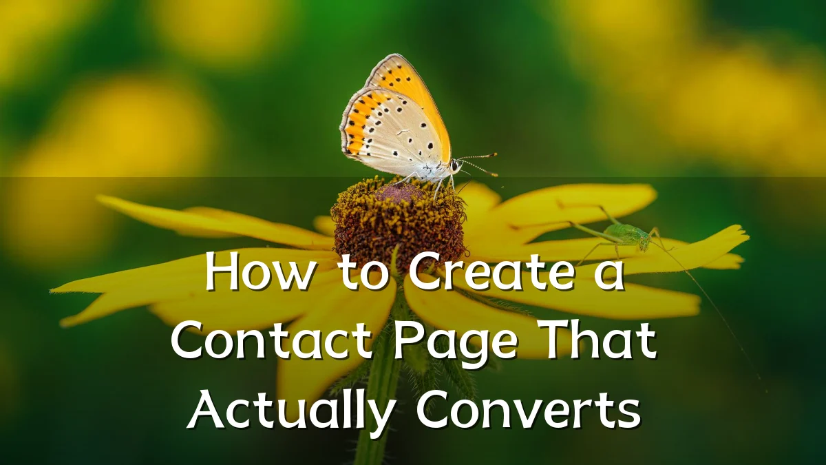 How to Create a Contact Page That Actually Converts