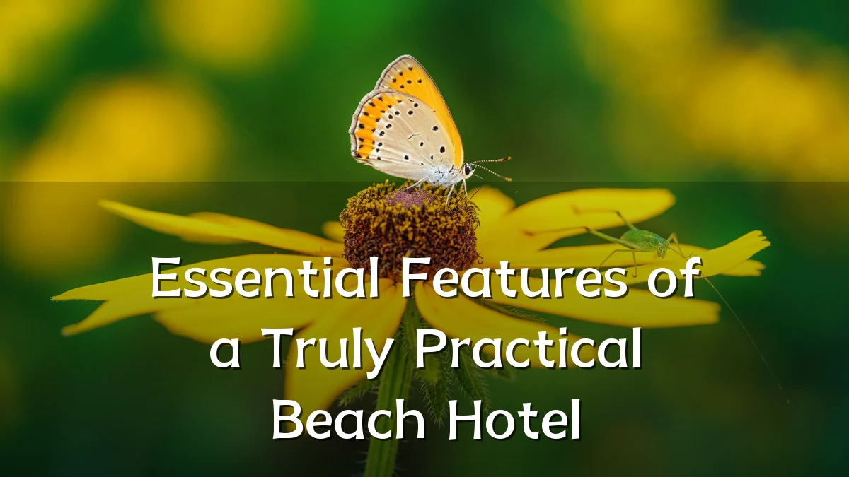 Essential Features of a Truly Practical Beach Hotel